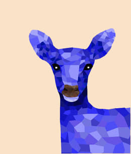 École Intuit.Lab French Institute of Design, Digital & Strategy Mumbai Student Works photo 18